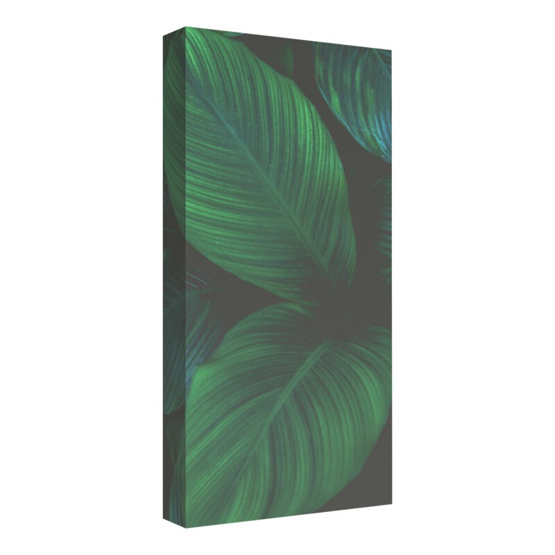 Obraz Akustyczny OUTLET - Nature_1, 100 × 50 cm, 11 cm