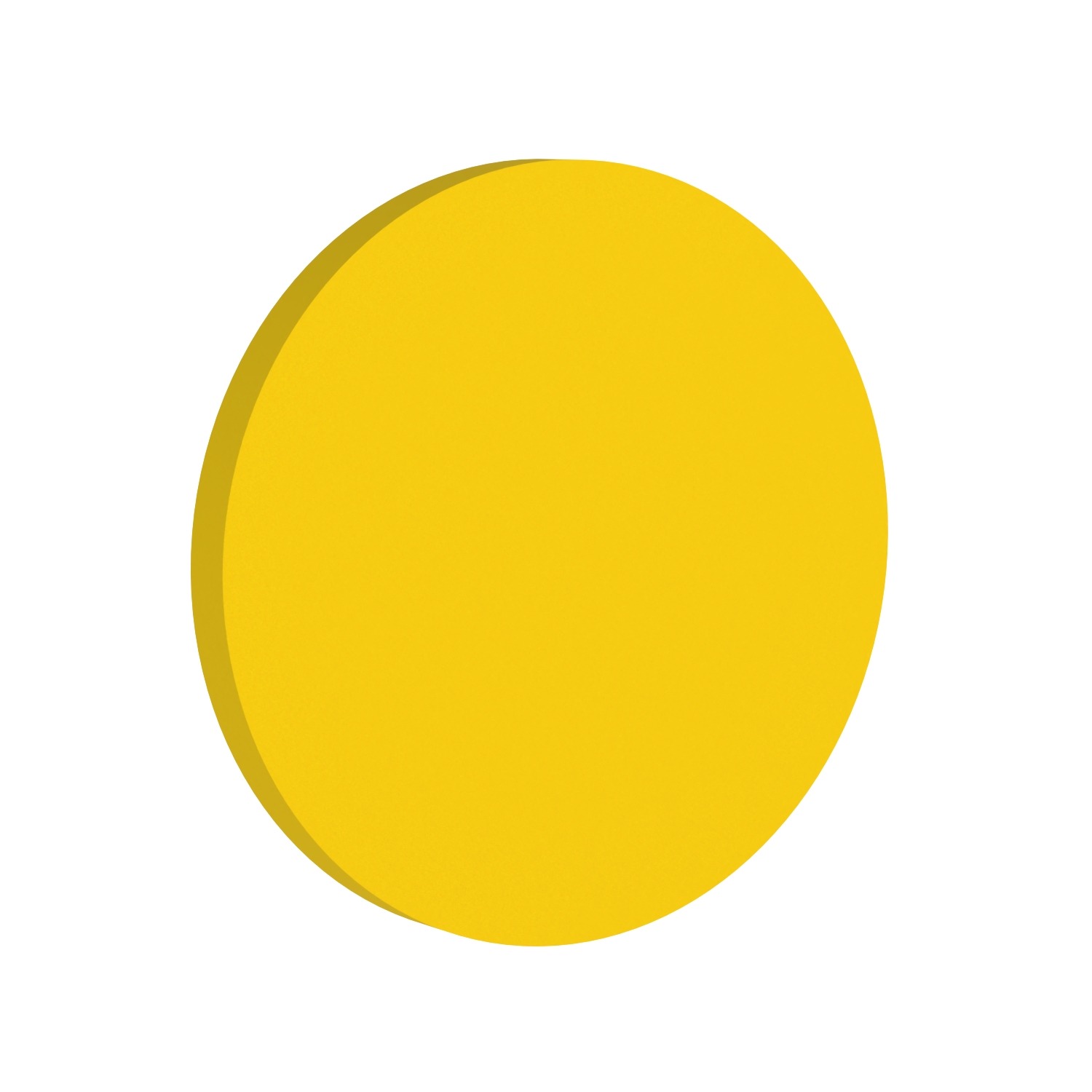 foamly_basotect_circle_60_5_produktowe__CITRUS FRUITS – Pomelo